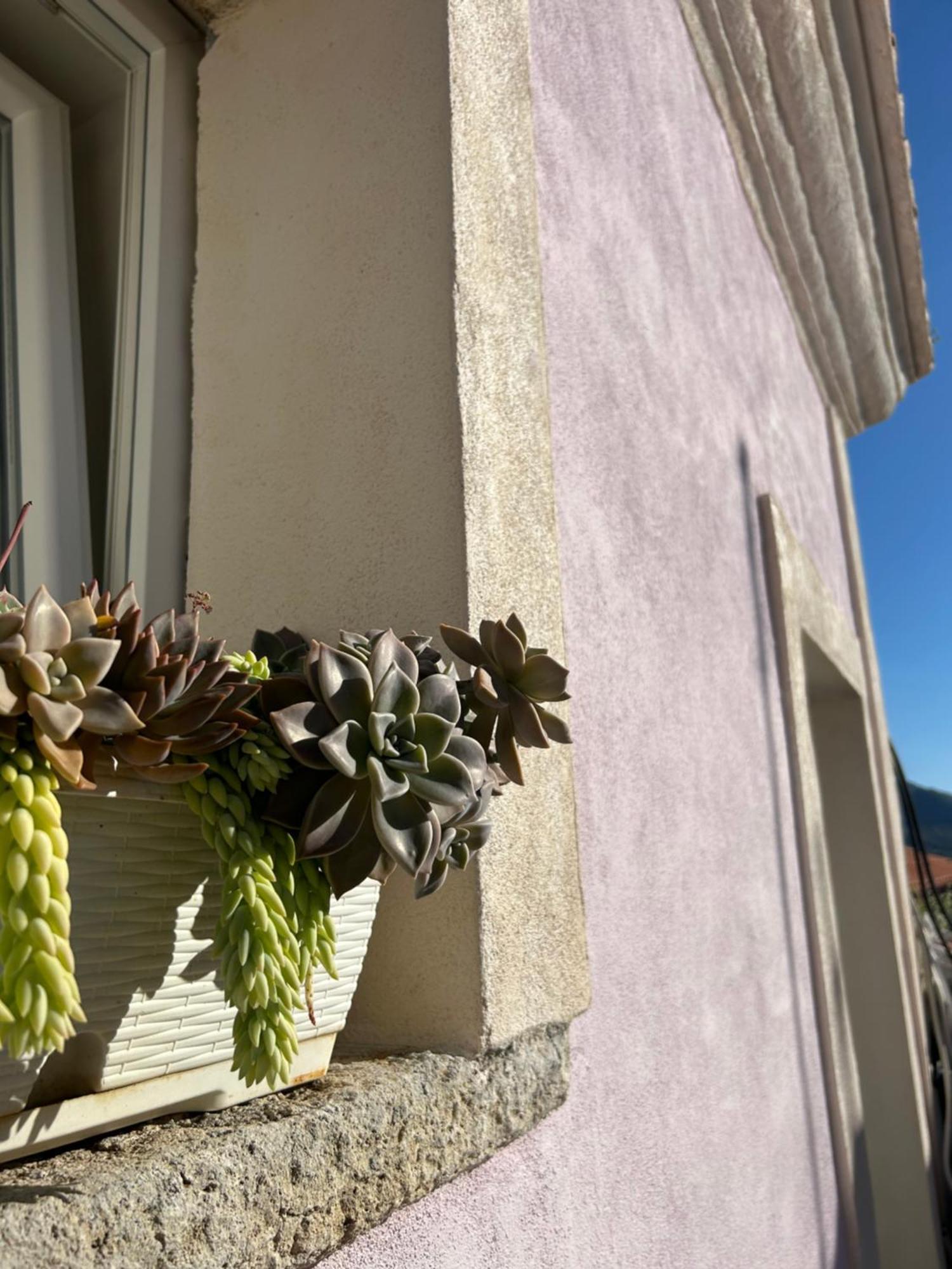 B&B Casa Camilory San Lucido Exterior photo